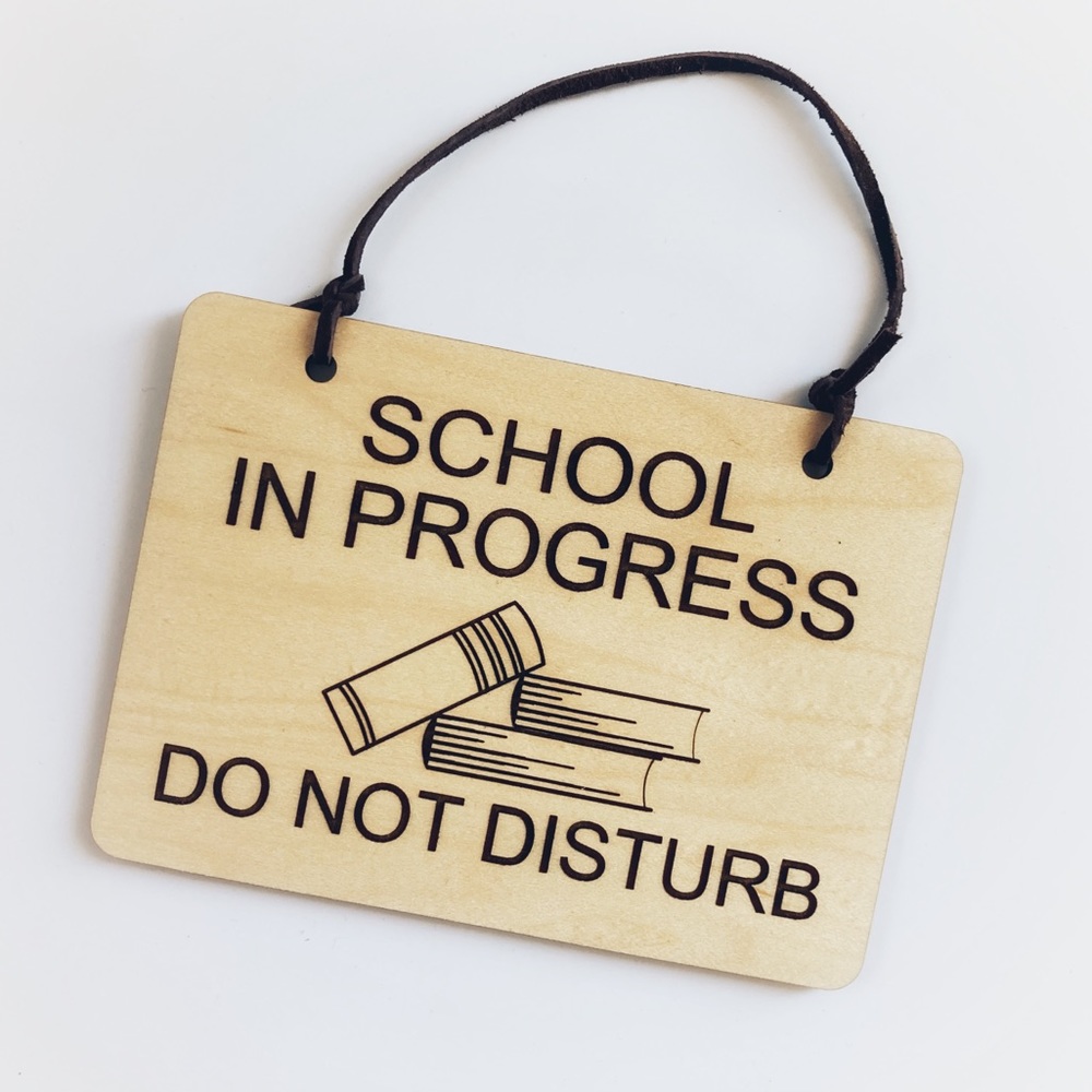 SCHOOL IN PROGRESS DO NOT DISTURB SIGN 📚